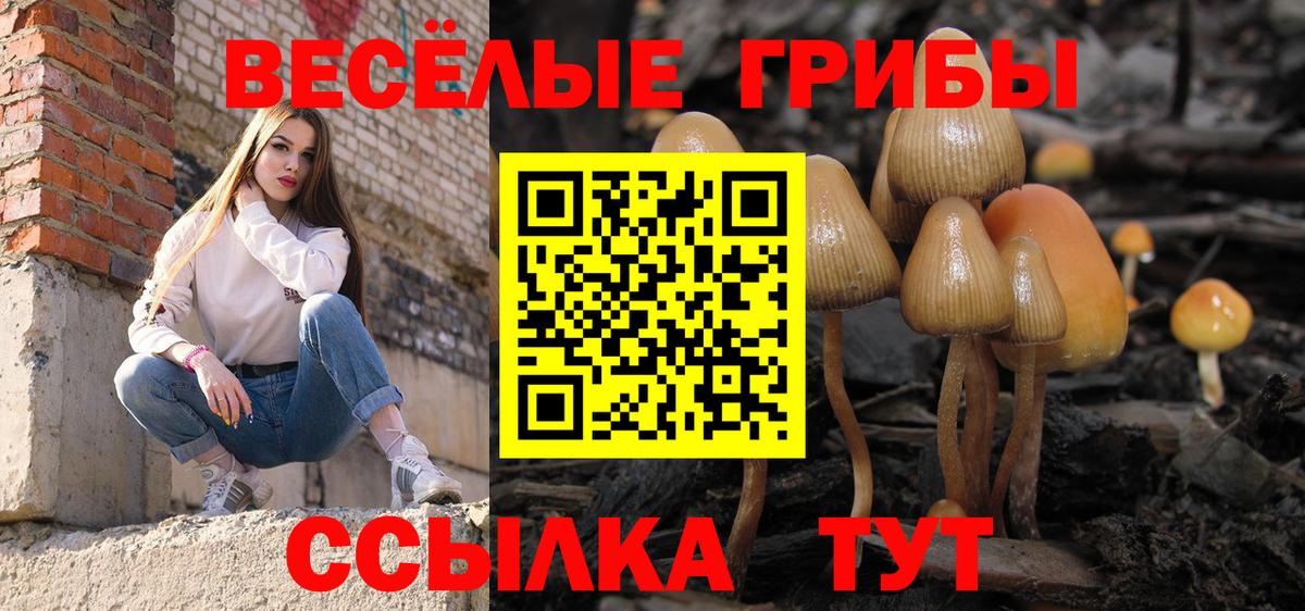 Галлюциногенные грибы GOLDEN TEACHER  Вход с VPN  где продают   Петропавловск-Камчатский  Псилоцибиновые грибы Psilocybe 