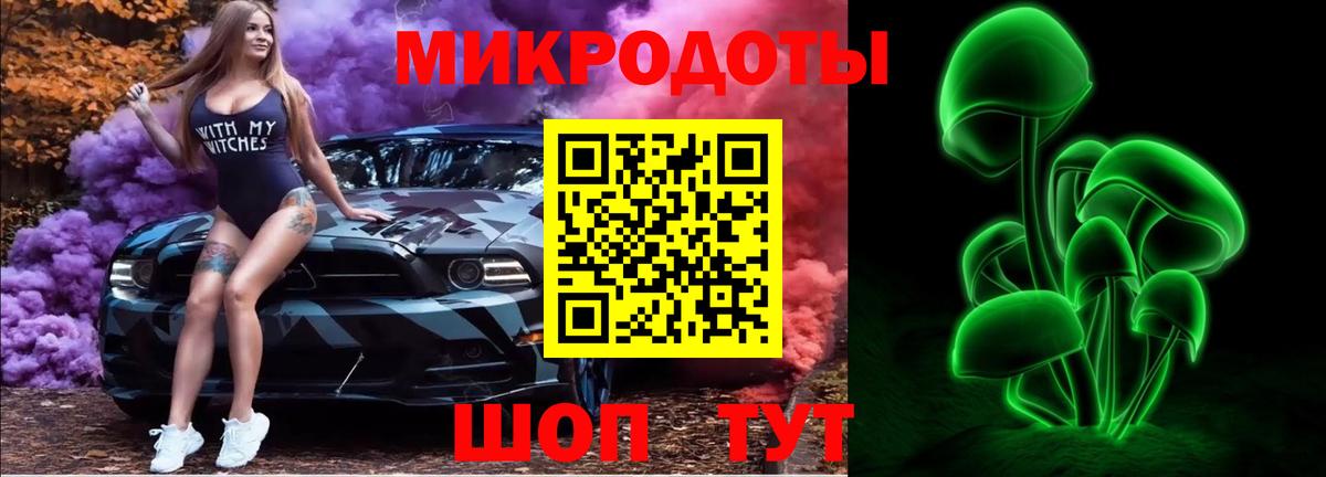 Псилоцибиновые грибы мухоморы Петропавловск-Камчатский